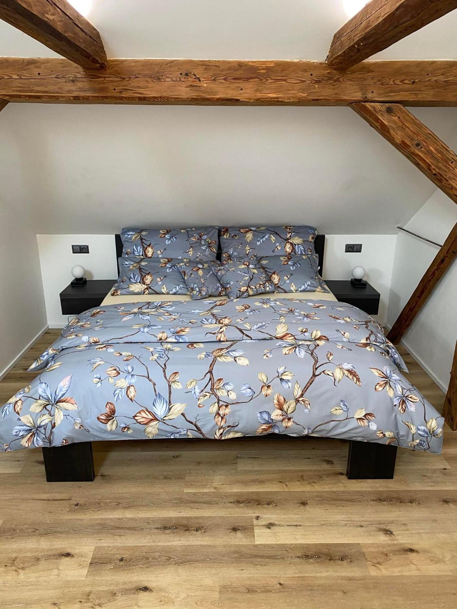Apartman Danuse Ческа-Липа Экстерьер фото